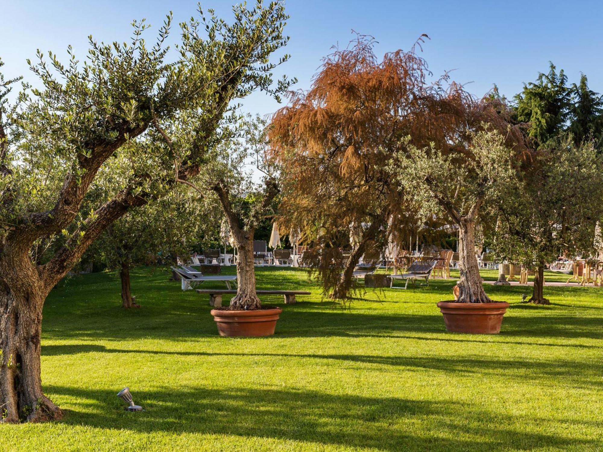 Hotel Ca' Mura Bardolino Dış mekan fotoğraf